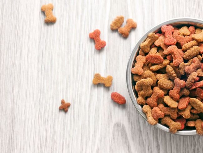 pets-food