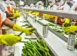 chitosan in food industry