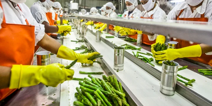 chitosan-in-food chitosan in food industry