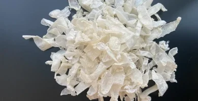 Chitosan