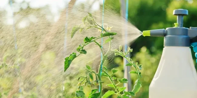 Foliar-Spray Foliar Spray