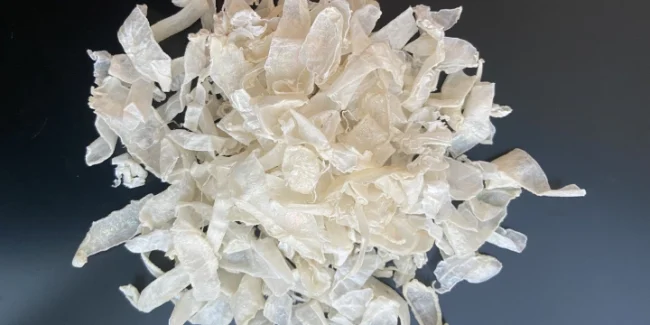 chitosan Chitosan