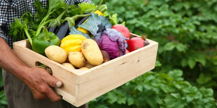 chitosan-hcl-farm Chitosan Hydrochloride environmental benefits