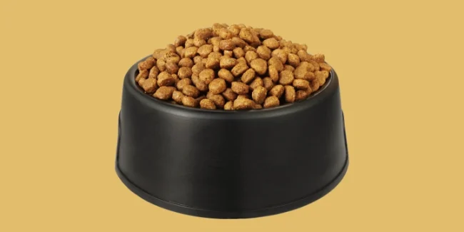 chitosan-pets-food Chitosan for Animals and Pets: A Natural Solution for Health and Well-being